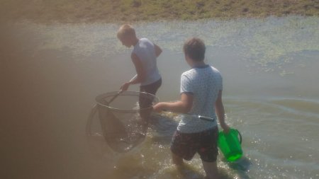 Вот и мы немного внесли свою помощь в спасение молоди рыбы, спасибо Раздорскому сельсовету в организации "голубого патруля".